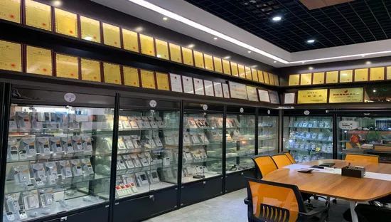 Russia Ukraine Market Popular Digital Voltage Protector